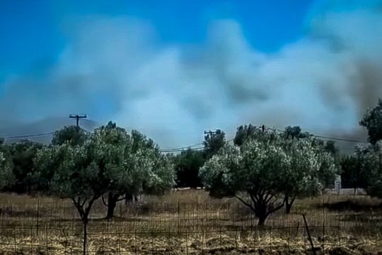 aliveri_1020
